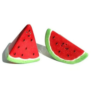 New Sur La Table Sliced Watermelon Summer Picnic Salt N Pepper Set